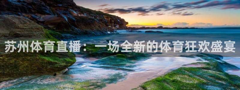 苏州体育直播：一场全新的体育狂欢盛宴
