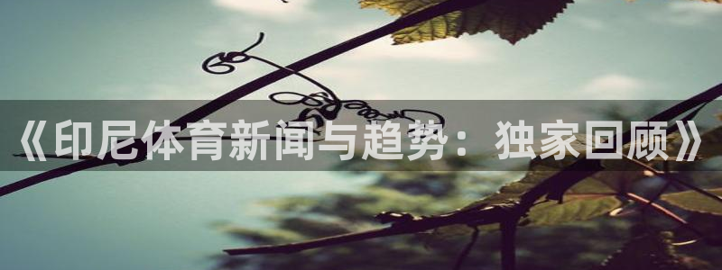 《印尼体育新闻与趋势：独家回顾》