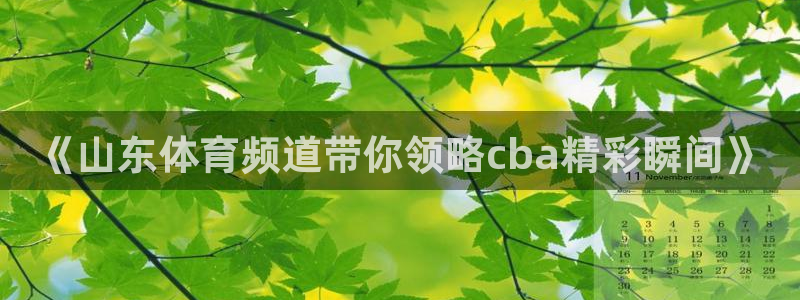 《山东体育频道带你领略cba精彩瞬间》