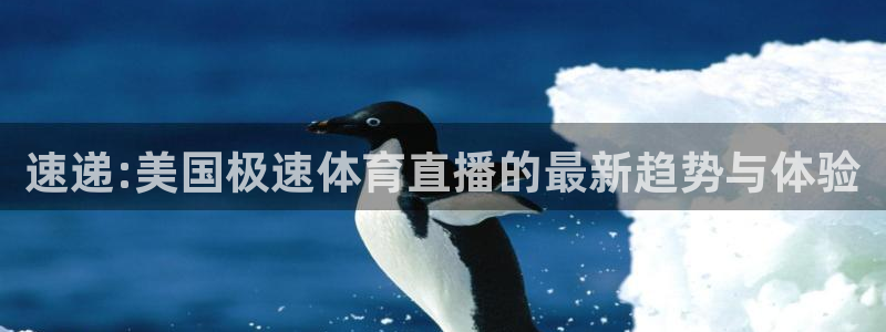 速递:美国极速体育直播的最新趋势与体验
